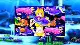パチパラ17 〜新海物語Withアグネス・ラム〜