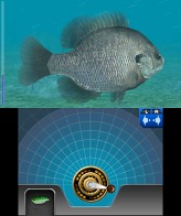 画像ギャラリー No.005のサムネイル画像 / 「Fish Eyes 3D」発売記念壁紙&待受をプレゼント。ゲームの進め方を紹介