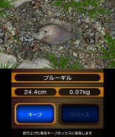 画像ギャラリー No.007のサムネイル画像 / 「Fish Eyes 3D」発売記念壁紙&待受をプレゼント。ゲームの進め方を紹介