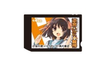 画像ギャラリー No.003のサムネイル画像 / 「STEINS;GATE」と「涼宮ハルヒの驚愕」仕様のメモリースティックが6月23日発売。“カスタムテーマダウンロード用プロダクトコード”付き