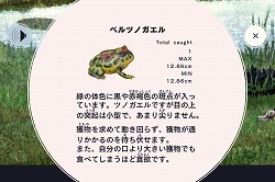 画像ギャラリー No.011のサムネイル画像 / GhM初のiPhone用ゲーム「FROG MINUTES」には,単純ながらも遊び続けたくなる魅力が満載