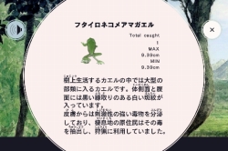 画像ギャラリー No.005のサムネイル画像 / 「FROG MINUTES」iPhoneランキング4位,iPadランキング1位を獲得