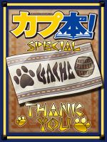 画像ギャラリー No.018のサムネイル画像 / 「カプ本 」Vol.3が本日発売。特別特典としてDVDを付属