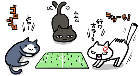 画像ギャラリー No.007のサムネイル画像 / 「FCマネージャー」のクライアント先行ダウンロードが本日開始に。OBT参加特典「プレミアムプレゼントBOX A」の詳細も判明