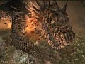 「Dragon’s Dogma」，新モンスター“ドレイク”との戦闘ムービーを公開。Xbox 360版は無料メンバーシップでオンライン要素を遊べる