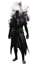 画像ギャラリー No.009のサムネイル画像 / 「Dragon's Dogma」新たな防具が手に入るダウンロードコンテンツを本日配信。クエスト“異空より零れしもの”シリーズの第6弾も登場