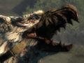 「Dragon's Dogma」にハードモード＆タイムアタックモードを追加する新DLC“求道者への試練・チャレンジパック”が12月に配信