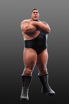 画像ギャラリー No.013のサムネイル画像 / 「WWE All Stars」がPS3で2011年7月下旬に発売。世代を超えた厳選30名のスーパースターやレジェンドが登場