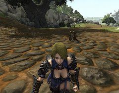 画像ギャラリー No.041のサムネイル画像 / オトナ向けMMORPG「セブンソウルズ」をテストプレイ。セクシーな衣装だけじゃない,オトナ基準のゲームシステムに注目