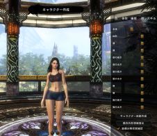 画像ギャラリー No.007のサムネイル画像 / ど派手なバトルだけじゃない。「Legend of Souls」,自由度の高いキャラクターメイキングで自分だけのキャラクターを作りだそう