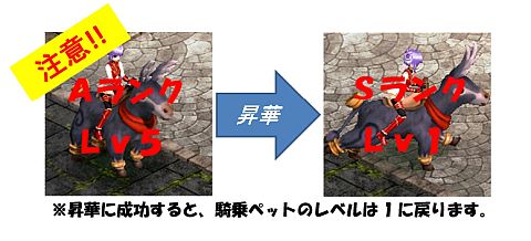 画像ギャラリー No.004のサムネイル画像 / 「LEGEND of VALHALLA」,騎乗ペットを強化する昇華専用アイテムが追加