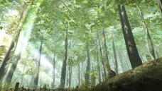 画像ギャラリー No.018のサムネイル画像 / KONAMIとトライエースが開発中のPSP「フロンティアゲート」は,マルチプレイとターン制コマンドバトルを前提としたRPGだった。その狙いを両社に聞く