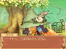 画像ギャラリー No.013のサムネイル画像 / NDS「ノーラと刻の工房 霧の森の魔女」は本日発売。登場キャラクター達や，“やり込み欲”をそそるコレクション要素「図鑑」の詳細情報が公開に