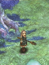 画像ギャラリー No.015のサムネイル画像 / ［G-Star 2014］「Tree of Savior」の画像からクラス名をできる限り調べてみた