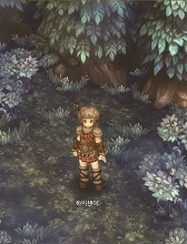 画像ギャラリー No.023のサムネイル画像 / ［G-Star 2014］「Tree of Savior」の画像からクラス名をできる限り調べてみた