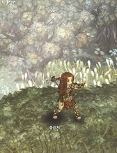 画像ギャラリー No.035のサムネイル画像 / ［G-Star 2014］「Tree of Savior」の画像からクラス名をできる限り調べてみた