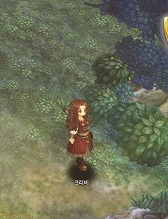 画像ギャラリー No.048のサムネイル画像 / ［G-Star 2014］「Tree of Savior」の画像からクラス名をできる限り調べてみた