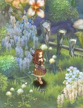画像ギャラリー No.056のサムネイル画像 / ［G-Star 2014］「Tree of Savior」の画像からクラス名をできる限り調べてみた