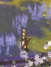 画像ギャラリー No.086のサムネイル画像 / ［G-Star 2014］「Tree of Savior」の画像からクラス名をできる限り調べてみた