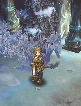 画像ギャラリー No.087のサムネイル画像 / ［G-Star 2014］「Tree of Savior」の画像からクラス名をできる限り調べてみた