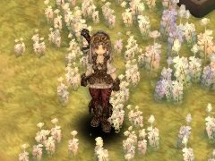 「Tree of Savior」誰でも参加できるサーバー負荷テストがスタート。実施期間は12月14日12：00まで