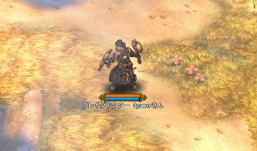 画像ギャラリー No.034のサムネイル画像 / 「Tree of Savior」OBTで最上位となる7次職を紹介。ギルド運営に特化して攻撃スキルを持たないテンプラーなど,個性的なクラスが登場