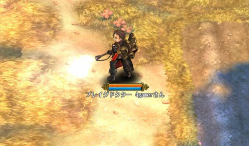 画像ギャラリー No.035のサムネイル画像 / 「Tree of Savior」OBTで最上位となる7次職を紹介。ギルド運営に特化して攻撃スキルを持たないテンプラーなど,個性的なクラスが登場