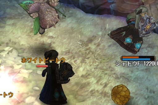 画像ギャラリー No.004のサムネイル画像 / 「Tree of Savior」で12月20日に大型アップデートが実施。新8次クラスの実装,そしてハクスラ要素の強化で,より遊びごたえのある内容に