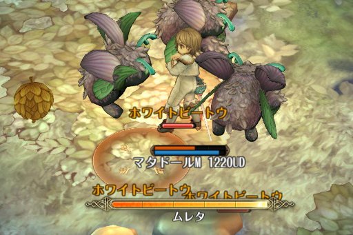 画像ギャラリー No.017のサムネイル画像 / 「Tree of Savior」で12月20日に大型アップデートが実施。新8次クラスの実装,そしてハクスラ要素の強化で,より遊びごたえのある内容に