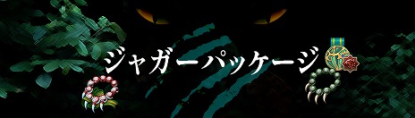 画像ギャラリー No.008のサムネイル画像 / 「Tree of Savior Japan」，新クラス“ジャガー”などを追加する大型アップデートを実装。無条件転職キャンペーンもスタート
