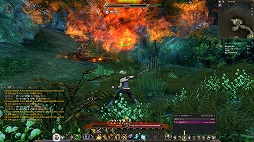 画像ギャラリー No.041のサムネイル画像 / 「ECHO OF SOUL(EOS)」は,MMORPGの面白さを再確認させてくれる“丁度よい”作品。東京で行われたフォーカスグループテストをレポート