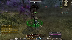 画像ギャラリー No.045のサムネイル画像 / 「ECHO OF SOUL(EOS)」は,MMORPGの面白さを再確認させてくれる“丁度よい”作品。東京で行われたフォーカスグループテストをレポート