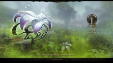 画像ギャラリー No.004のサムネイル画像 / 「ECHO OF SOUL」フォーカスグループテストのアンケート結果を公開。使用率1位はソーサレスとアーチャー