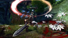 画像ギャラリー No.007のサムネイル画像 / 「ECHO OF SOUL」フォーカスグループテストのアンケート結果を公開。使用率1位はソーサレスとアーチャー