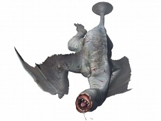 画像ギャラリー No.008のサムネイル画像 / iPhone用ゲーム「モンスターハンター Dynamic Hunting」6月1日配信決定。ステージクリア型で協力プレイも可能,価格は800円