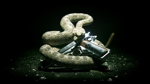 画像ギャラリー No.002のサムネイル画像 / 「HITMAN ABSOLUTION」PlayStation 3とXbox 360でスクウェア・エニックスより2012年日本発売決定。公式サイトではティザートレイラーが公開に