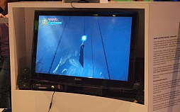 画像ギャラリー No.009のサムネイル画像 / ［E3 2012］左右の手から繰り出す魔法で敵を殲滅。シリーズ初のKinect専用タイトル「Fable：the Journey」のプレイレポート