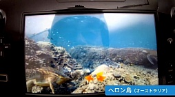 画像ギャラリー No.097のサムネイル画像 / ローンチタイトル情報や，Googleストリートビューを活かしたソフトなどが公開された「Nintendo Direct 2012.12.5」レポート