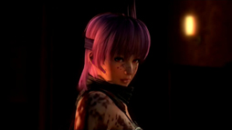 画像ギャラリー No.006のサムネイル画像 / 「Ninja Gaiden 3: Razor's Edge」「無双OROCHI2 Hyper」のWii U同時発売が決定！ 「三國志12」や「真・北斗無双」の発売も明らかに