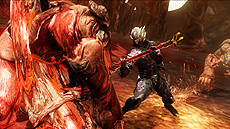 画像ギャラリー No.025のサムネイル画像 / Wii U「Ninja Gaiden 3: Razor's Edge」の最新トレイラー＆SS公開。「あやね」のステージやコスチュームバリエーションをチェック