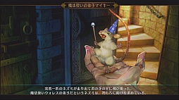 画像ギャラリー No.021のサムネイル画像 / 待望にして理想型のベルトアクション。「ドラゴンズクラウン」のロングプレイムービーを掲載