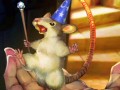 「ドラゴンズクラウン」徹底攻略ページを本日公開！ 詳細なラウンド＆職業解説や，冒険に役立つ各種データをまとめてドドーンと掲載
