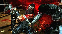 画像ギャラリー No.012のサムネイル画像 / ［E3 2011］「NINJA GAIDEN 3」でリュウ・ハヤブサが斬るのは“敵”ではなく“人”――プロデューサーの早矢仕洋介氏にシリーズ最新作について話を聞いてきた