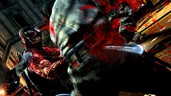 画像ギャラリー No.013のサムネイル画像 / ［E3 2011］「NINJA GAIDEN 3」でリュウ・ハヤブサが斬るのは“敵”ではなく“人”――プロデューサーの早矢仕洋介氏にシリーズ最新作について話を聞いてきた
