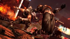 画像ギャラリー No.002のサムネイル画像 / 「NINJA GAIDEN 3」，初回特典は「DEAD OR ALIVE 5 体験版α.ver」のダウンロードができるシリアルコードに決定
