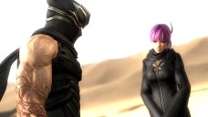 画像ギャラリー No.006のサムネイル画像 / 「NINJA GAIDEN 3」，初回特典は「DEAD OR ALIVE 5 体験版α.ver」のダウンロードができるシリアルコードに決定