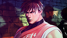 画像ギャラリー No.003のサムネイル画像 / 「STREET FIGHTER X 鉄拳」,PS Vita版のイーカプコン限定先着特典は,女性キャラのみを描く「ドキッ!女だらけのストクロジャケットセット」に