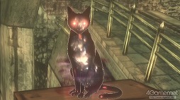 画像ギャラリー No.037のサムネイル画像 / ゲームに触れて感動したのは，もう何年ぶりだろう――今までない体験が味わえる「GRAVITY DAZE」をプレイムービーで紹介