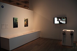 画像ギャラリー No.005のサムネイル画像 / 「第16回 文化庁メディア芸術祭」受賞作品展が開催中。エンターテインメント部門優秀賞「GRAVITY DAZE」の外山圭一郎氏,推薦作品「orgarhythm」の平井武史氏,両クリエイターに話を聞いた