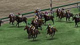 Champion Jockey: Gallop Racer&GI Jockey